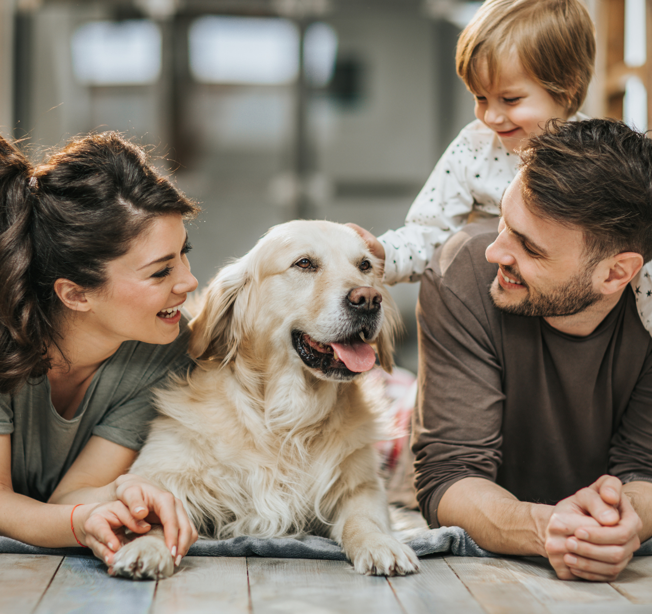 HOW HOME LOANS WORK IN SOUTH AFRICAC